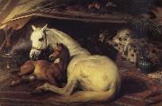 The Arab Tent Sir Edwin Landseer